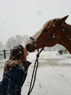 Discount Licol Éthologique Licols Et Longes