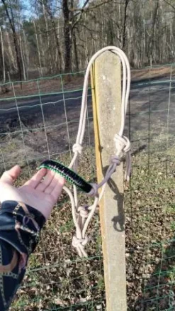 Licol éthologique Licols Et Longes