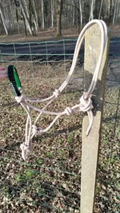 Licol éthologique Licols Et Longes