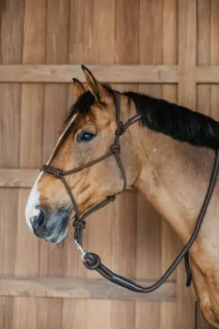 Online Licol éthologique - Dy'on Licols Et Longes