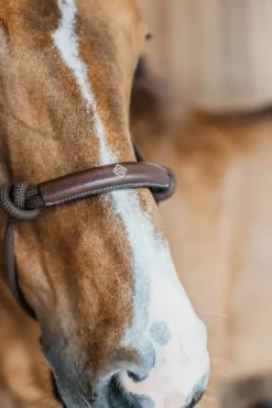 Online Licol éthologique - Dy'on Licols Et Longes