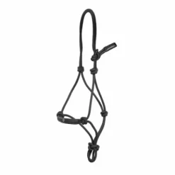 Online Licol éthologique - Dy'on Licols Et Longes