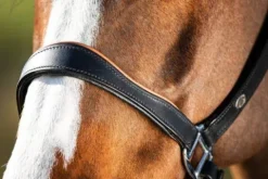 New Licol éthologique two-tone - - cuir souple Licols Et Longes