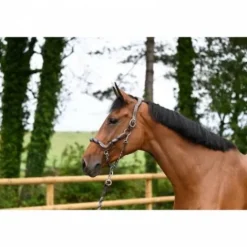 New Licol travel - Collection One - Licols Et Longes