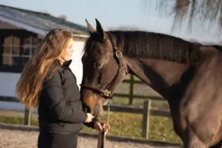 Sale Licol tressé Licols Et Longes