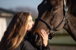 Sale Licol tressé Licols Et Longes