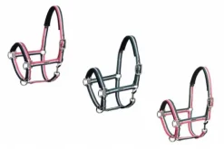 Hot Licol tricolor Classic Sports 2019 - Licols Et Longes