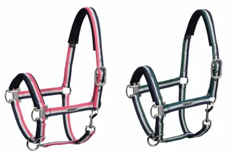 Hot Licol tricolor Classic Sports 2019 - Licols Et Longes