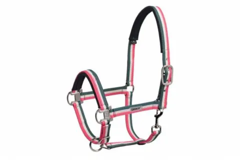 Hot Licol tricolor Classic Sports 2019 - Licols Et Longes