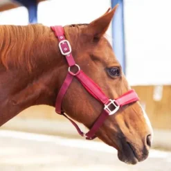 Hot Licol Velvet - Licols Et Longes