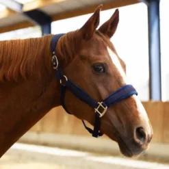 Hot Licol Velvet - Licols Et Longes