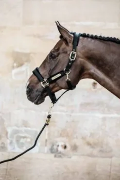 Licol Velvet - Kentucky Licols Et Longes