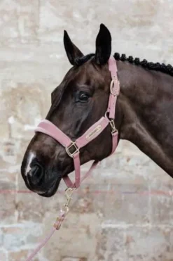 Licol Velvet - Kentucky Licols Et Longes