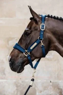 Licol Velvet - Kentucky Licols Et Longes