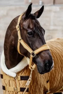 Licol Velvet - Kentucky Licols Et Longes