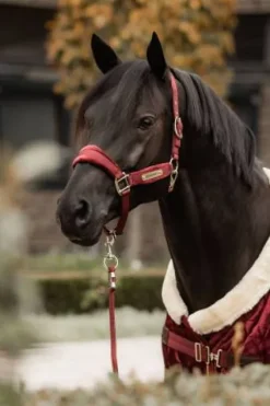 New Licol Velvet - Kentucky Licols Et Longes