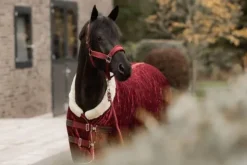 New Licol Velvet - Kentucky Licols Et Longes