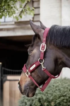 New Licol Velvet - Kentucky Licols Et Longes