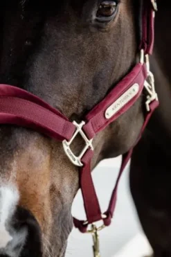 New Licol Velvet - Kentucky Licols Et Longes