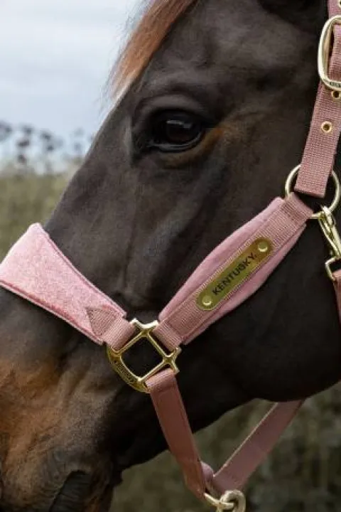 Licol velvet unicorn glitter - Kentucky - velours doux Licols Et Longes