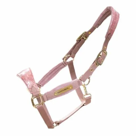 Licol velvet unicorn glitter - Kentucky - velours doux Licols Et Longes