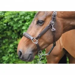 Hot Licol wednesday - Collection Week - Licols Et Longes