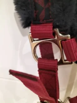 Discount Licol+longe Licols Et Longes