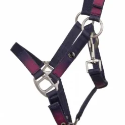 Online Licol+longe Jaily Ombre Licols Et Longes