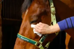 Sale Lingettes Easy Shine Wipe - Pharmacie