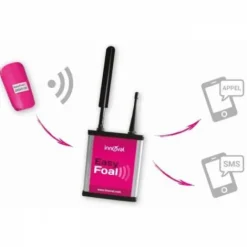 Hot Location easy foal Reproduction / Élevage