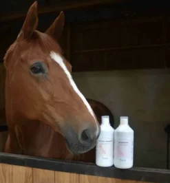 Hot Locomotion Liquide - Membres·Anti-douleurs|Membres·Articulations