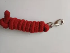 Clearance Longe Licols Et Longes