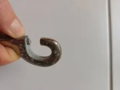 Clearance Longe Licols Et Longes