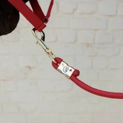 Sale Longe Basic - Kentucky - Nylon tressé Licols Et Longes