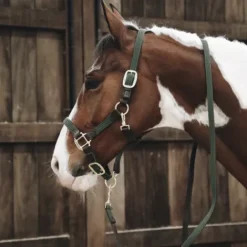 Sale Longe en nylon tressé - Kentucky Licols Et Longes