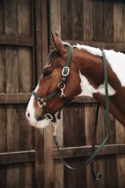 Sale Longe en nylon tressé - Kentucky Licols Et Longes