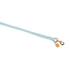 Best Longe Regular Duralastic Platinum 2023 - - 2m Licols Et Longes