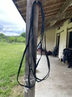 Hot Longues renes Longues Rênes