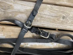 longues rennes Longues Rênes