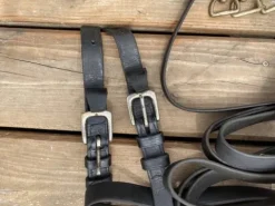 longues rennes Longues Rênes