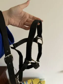 Outlet lot de 2 licols noir Licols Et Longes