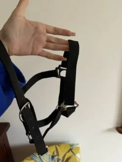 Outlet lot de 2 licols noir Licols Et Longes