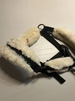 Clearance Lot de licol Licols Et Longes