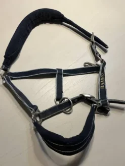 Clearance Lot de licol Licols Et Longes