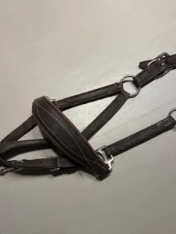 Clearance Lot de licol Licols Et Longes