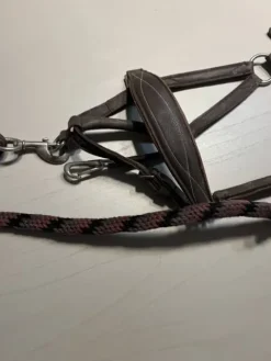 Clearance Lot de licol Licols Et Longes