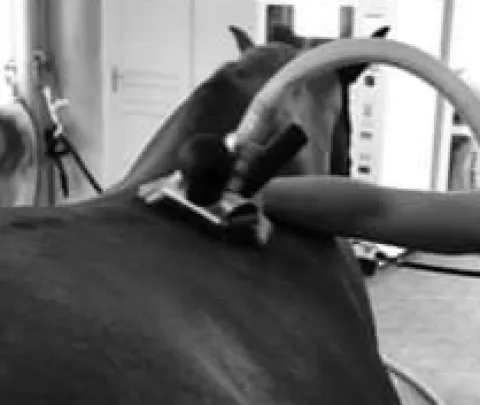 New Machine de massages Couvertures Et Tapis De Massage