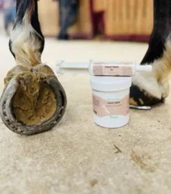 Online Magic Pieds - Soulage les douleurs des pieds Produits De Soin Sabots