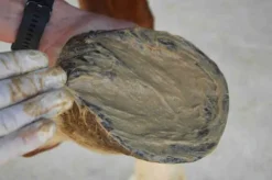 Online Magic Pieds - Soulage les douleurs des pieds Produits De Soin Sabots