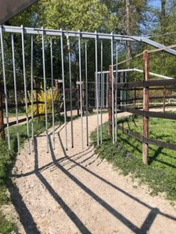 Online eur Marcheur Chevaux